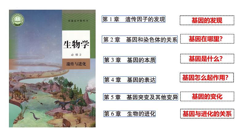 人教版(2019)高中生物必修二1.1《孟德尔的豌豆杂交实验》(一)(第1课时)课件01