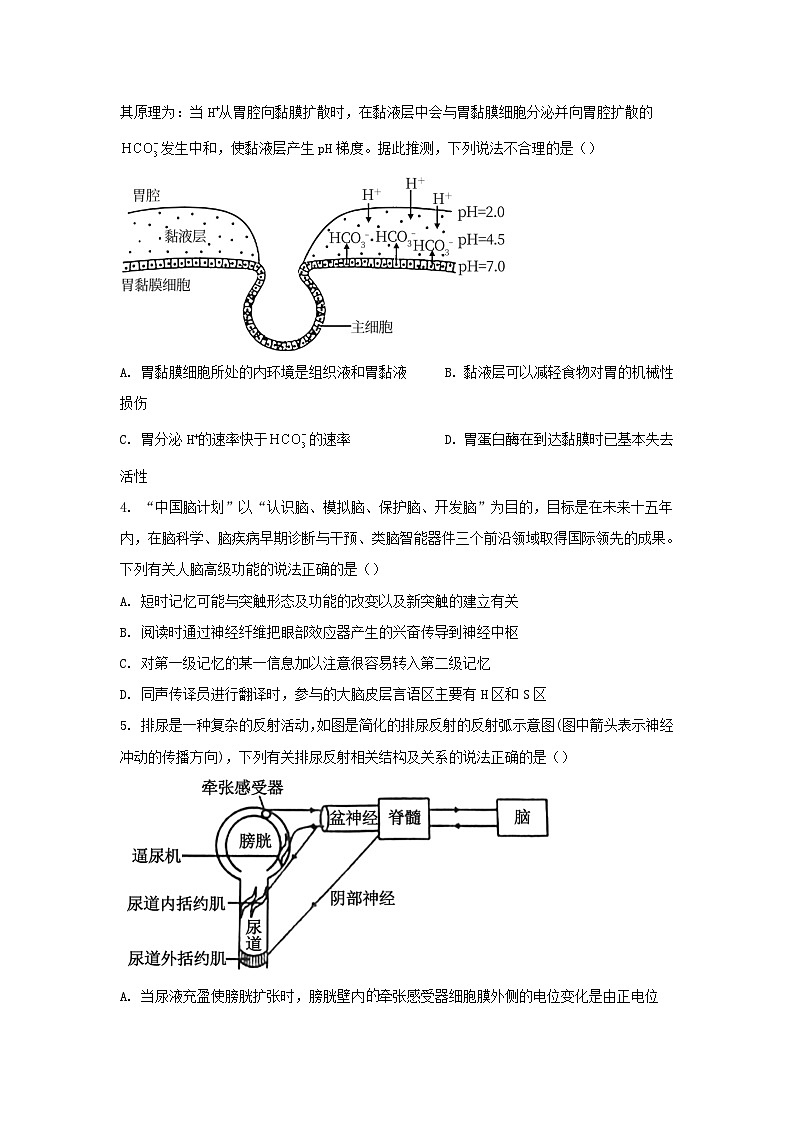 重庆市2023_2024学年高二生物上学期12月联考试题含解析 (1)02