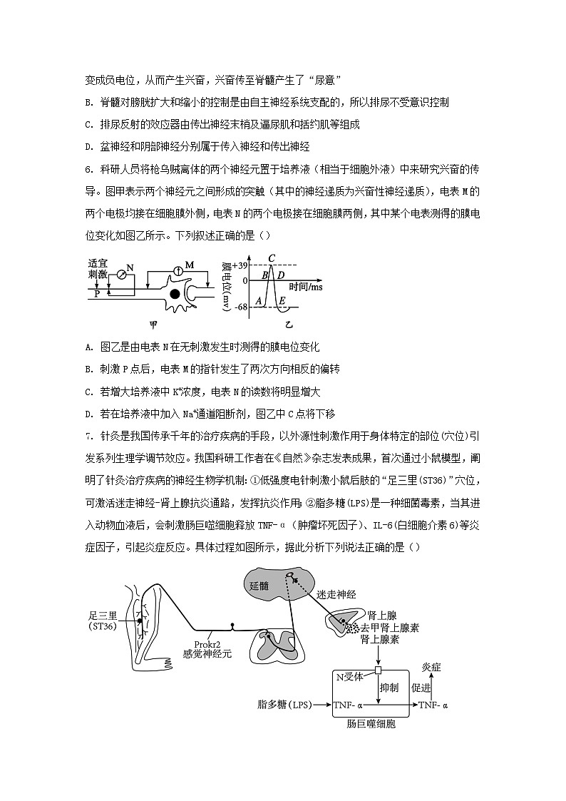重庆市2023_2024学年高二生物上学期12月联考试题含解析 (1)03