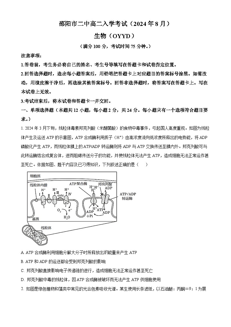 湖南省邵阳市第二中学2024-2025学年高二上学期入学考试生物试题(原卷版+解析版)01