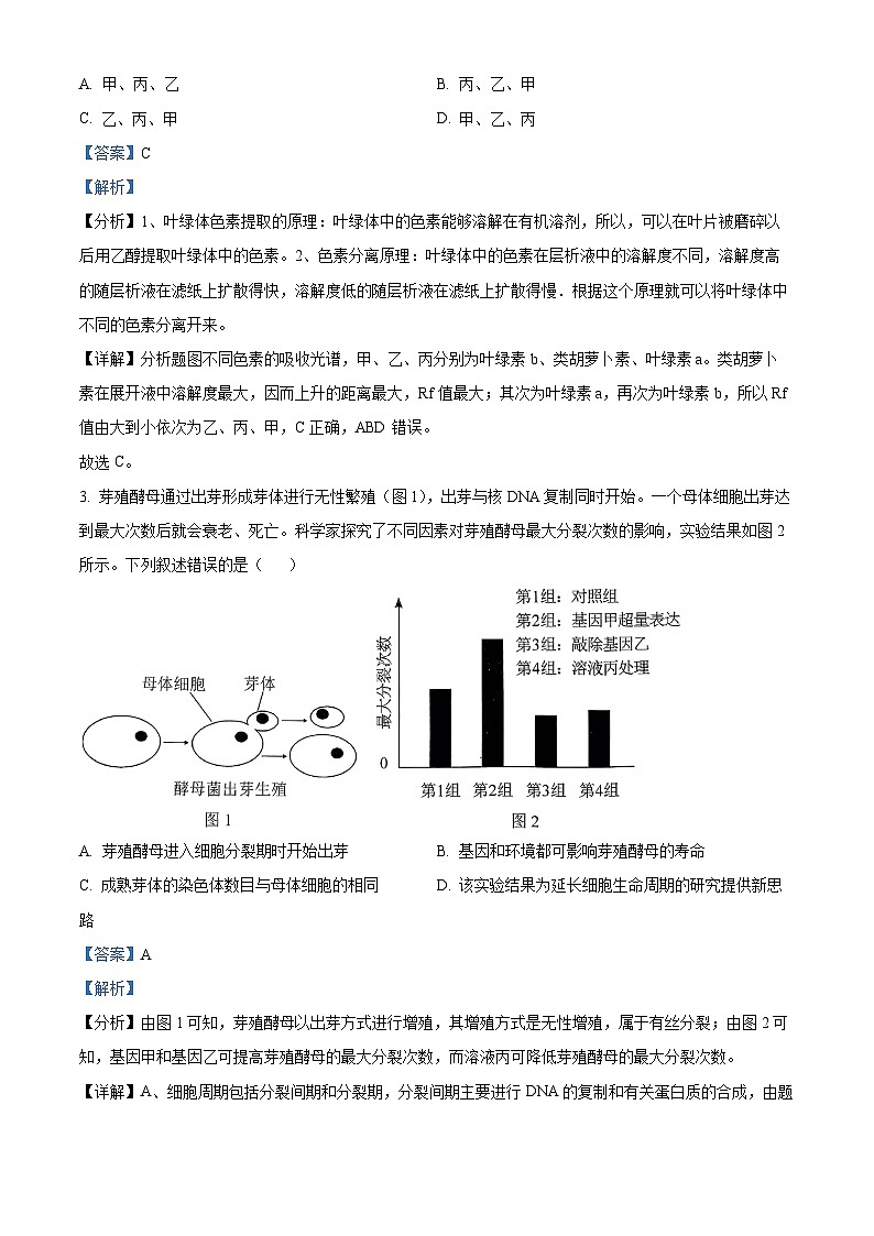湖南省邵阳市第二中学2024-2025学年高二上学期入学考试生物试题(原卷版+解析版)03