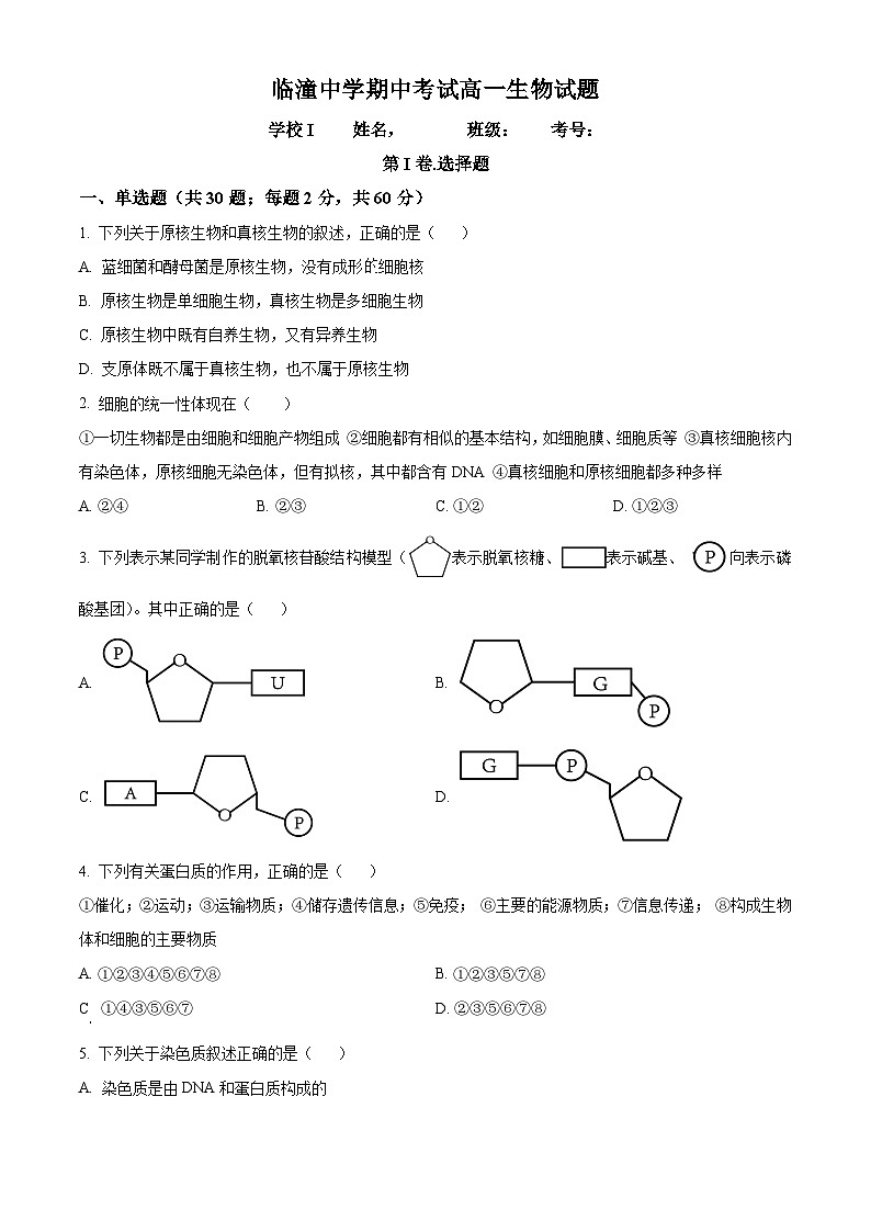 陕西省西安市临潼中学2023-2024学年度高一下学期期中考试生物试题(原卷版)01