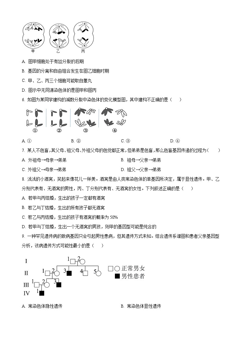 黑龙江省绥化市第二中学2024-2025学年高二上学期开学检测生物试卷(原卷版)第2页