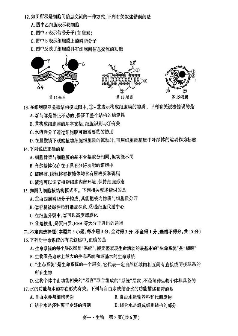 辽宁省沈阳市重点高中联合体2022-2023学年高一上学期期中检测生物试题03