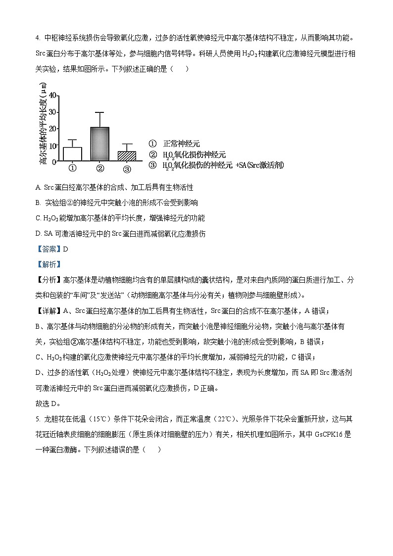 湖北省腾云联盟2024-2025学年高三上学期8月联考生物试题 Word版含解析第3页