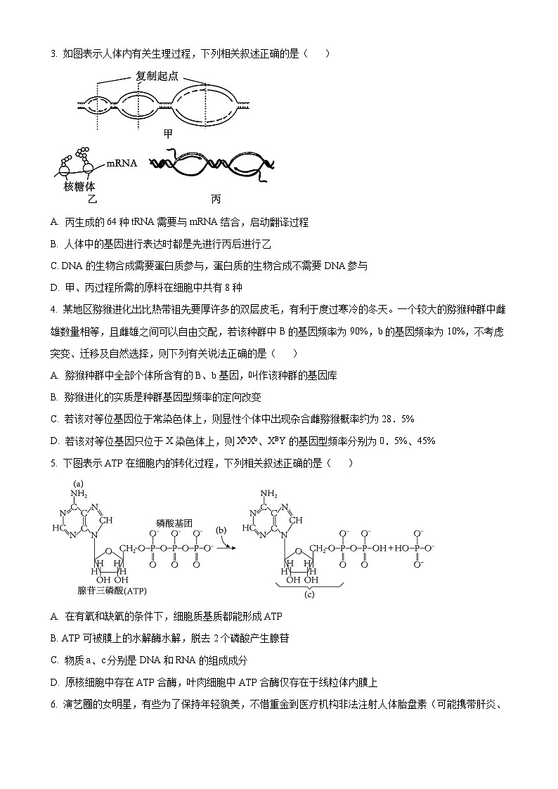 湖南省部分学校2025届高三上学期8月入学考试生物试题(Word版附解析)02