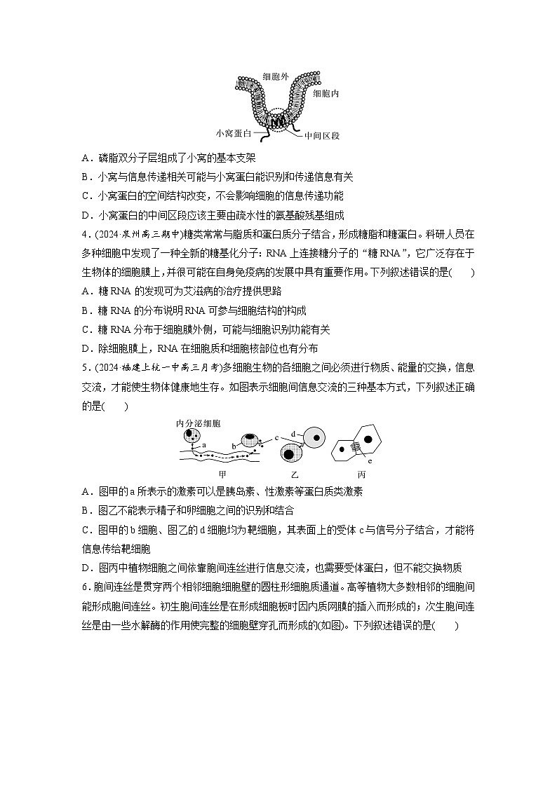 第二單元　課時(shí)練6  細(xì)胞膜與細(xì)胞核的結(jié)構(gòu)和功能-2025年高考生物大一輪復(fù)習(xí)（課件+講義+練習(xí)）專(zhuān)練第2頁(yè)