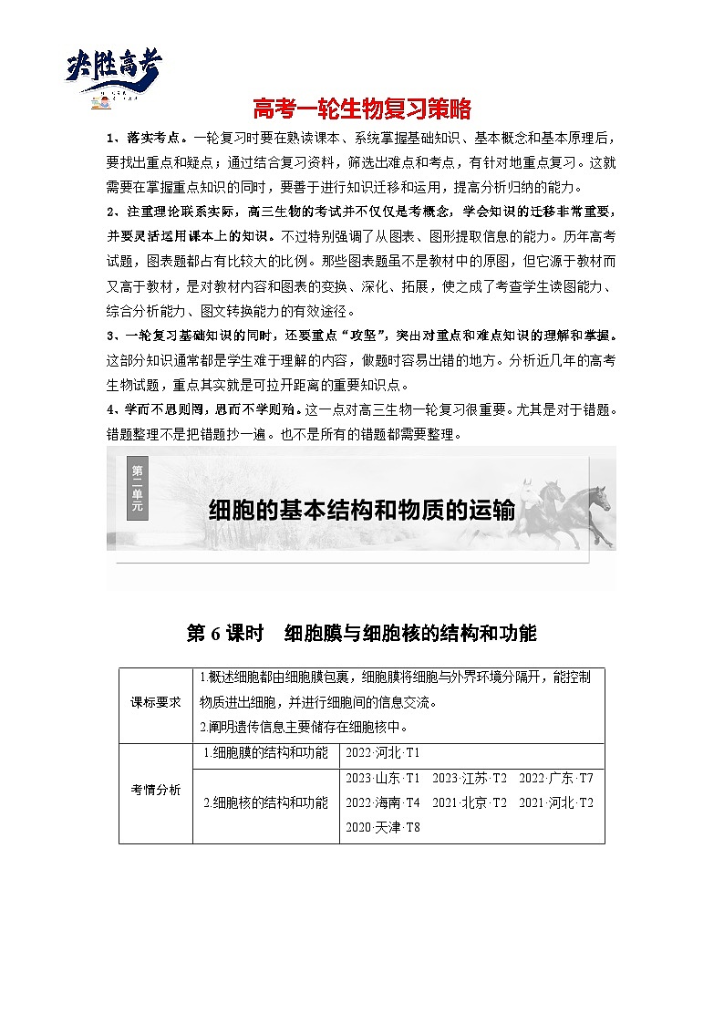 第二單元　第6課時(shí)　細(xì)胞膜與細(xì)胞核的結(jié)構(gòu)和功能-2025年高考生物大一輪復(fù)習(xí)（課件+講義+練習(xí)）學(xué)生版第1頁(yè)