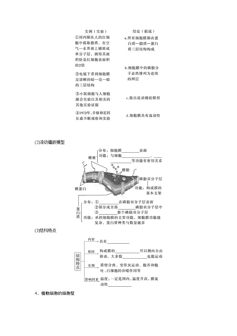 第二單元　第6課時(shí)　細(xì)胞膜與細(xì)胞核的結(jié)構(gòu)和功能-2025年高考生物大一輪復(fù)習(xí)（課件+講義+練習(xí)）學(xué)生版第3頁(yè)
