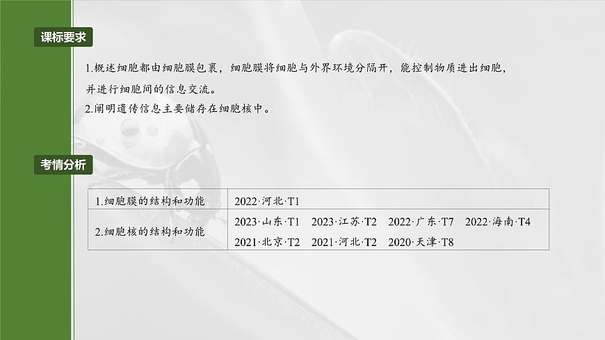第二單元 第6課時(shí) 細(xì)胞膜與細(xì)胞核的結(jié)構(gòu)和功能第4頁(yè)