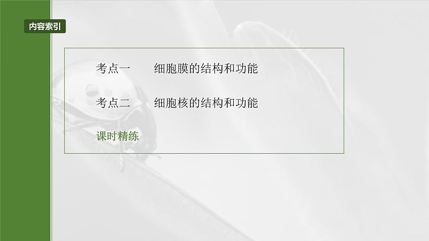 第二單元 第6課時(shí) 細(xì)胞膜與細(xì)胞核的結(jié)構(gòu)和功能第5頁(yè)