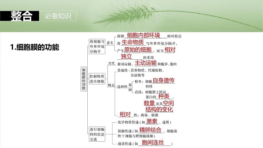 第二單元 第6課時(shí) 細(xì)胞膜與細(xì)胞核的結(jié)構(gòu)和功能第7頁(yè)