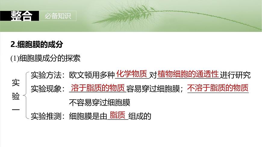 第二單元 第6課時(shí) 細(xì)胞膜與細(xì)胞核的結(jié)構(gòu)和功能第8頁(yè)