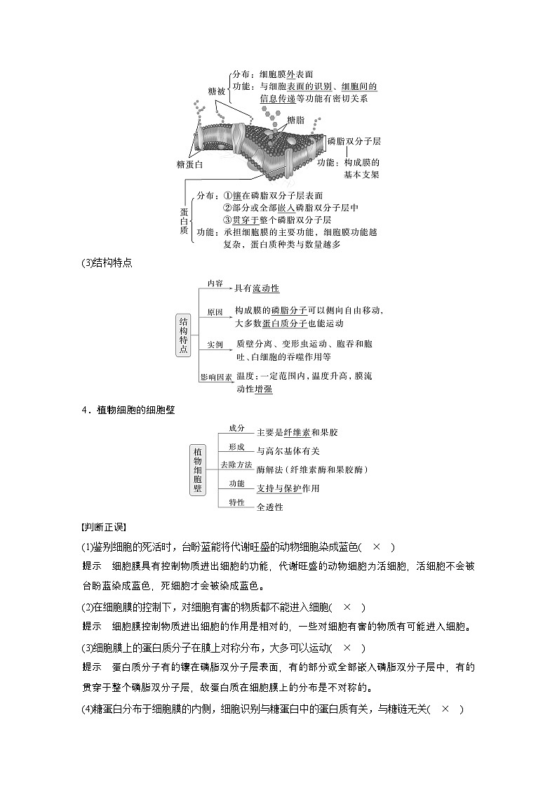 第二單元　第6課時(shí)　細(xì)胞膜與細(xì)胞核的結(jié)構(gòu)和功能-2025年高考生物大一輪復(fù)習(xí)（課件+講義+練習(xí)）教師版第3頁(yè)