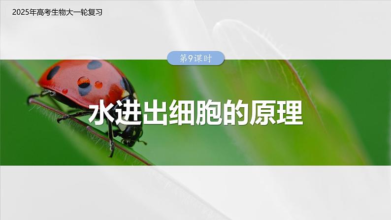 第二单元 第9课时 水进出细胞的原理第3页