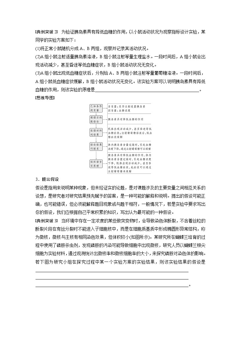 第三单元 专题突破1 实验技能解题策略-2025年高考生物大一轮复习(课件+讲义+练习)03