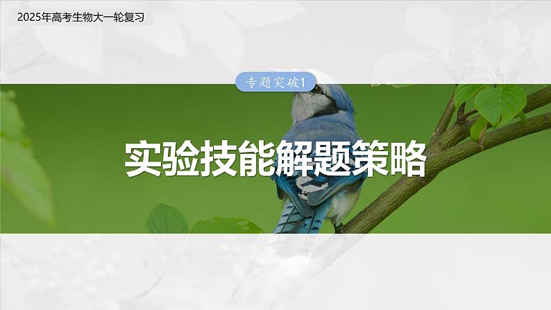 第三单元 专题突破1 实验技能解题策略-2025年高考生物大一轮复习(课件+讲义+练习)03