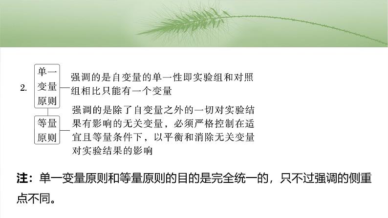 第三单元 专题突破1 实验技能解题策略-2025年高考生物大一轮复习(课件+讲义+练习)05