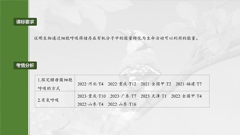 第三单元 第十三课时 细胞呼吸的方式和有氧呼吸-2025年高考生物大一轮复习(课件+讲义+练习)04