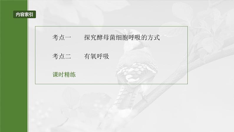 第三单元 第十三课时 细胞呼吸的方式和有氧呼吸-2025年高考生物大一轮复习(课件+讲义+练习)05