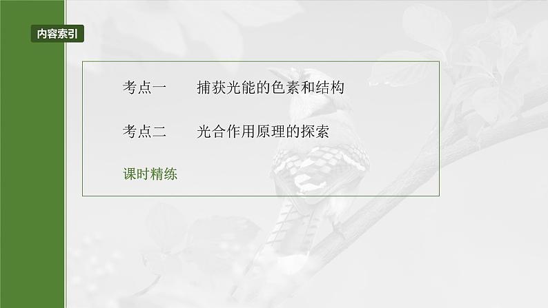第三单元 第十五课时 捕获光能的色素和结构及光合作用原理的探索-2025年高考生物大一轮复习(课件+讲义+练习)05