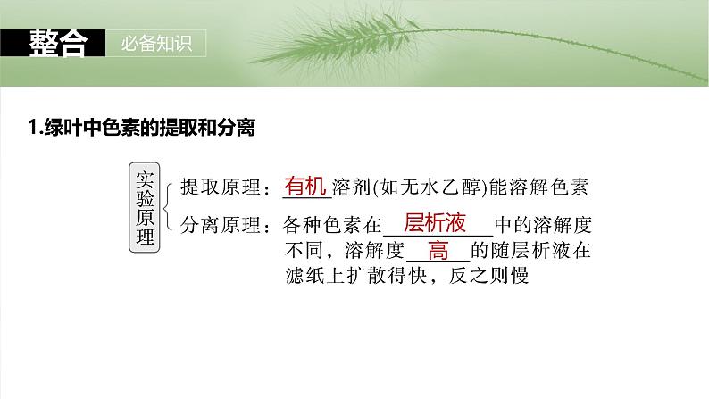 第三单元 第十五课时 捕获光能的色素和结构及光合作用原理的探索-2025年高考生物大一轮复习(课件+讲义+练习)07