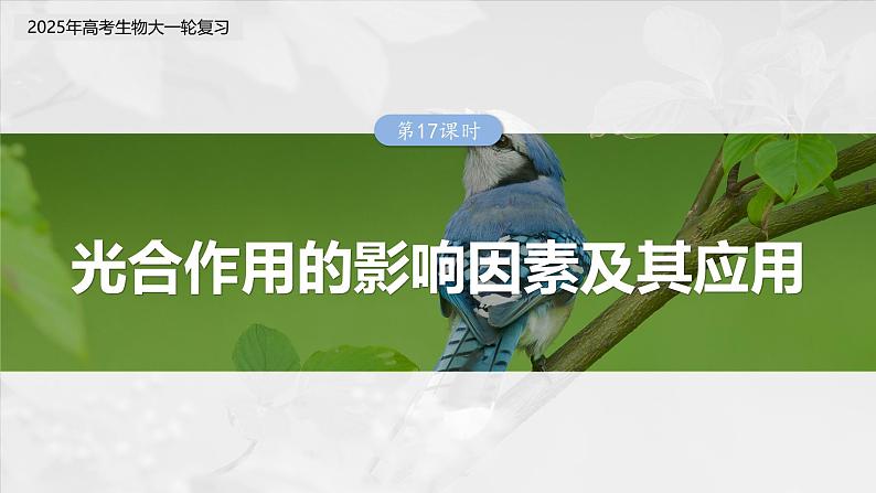 第三单元 第十七课时 光合作用的影响因素及其应用-2025年高考生物大一轮复习(课件+讲义+练习)03