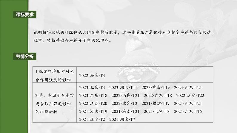 第三单元 第十七课时 光合作用的影响因素及其应用-2025年高考生物大一轮复习(课件+讲义+练习)04