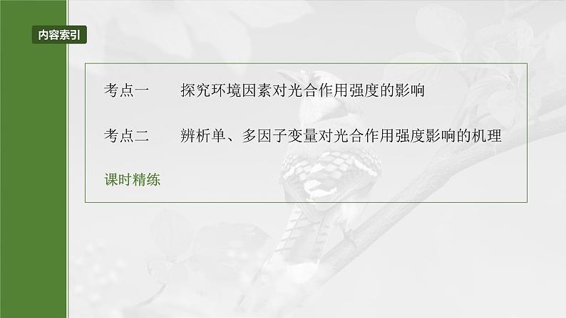 第三单元 第十七课时 光合作用的影响因素及其应用-2025年高考生物大一轮复习(课件+讲义+练习)05