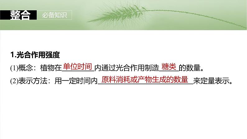第三单元 第十七课时 光合作用的影响因素及其应用-2025年高考生物大一轮复习(课件+讲义+练习)07
