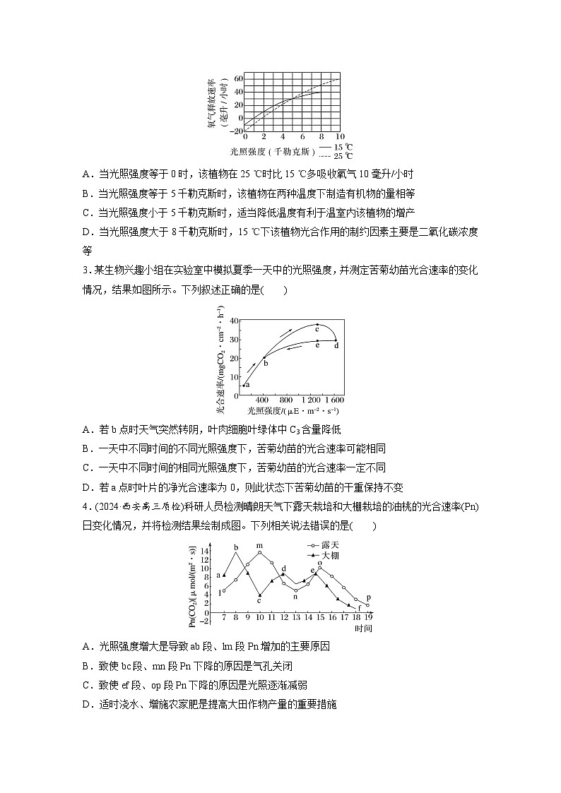 第三单元 课时练18 光合速率和呼吸速率的综合分析-2025年高考生物大一轮复习(课件+讲义+练习)专练第2页