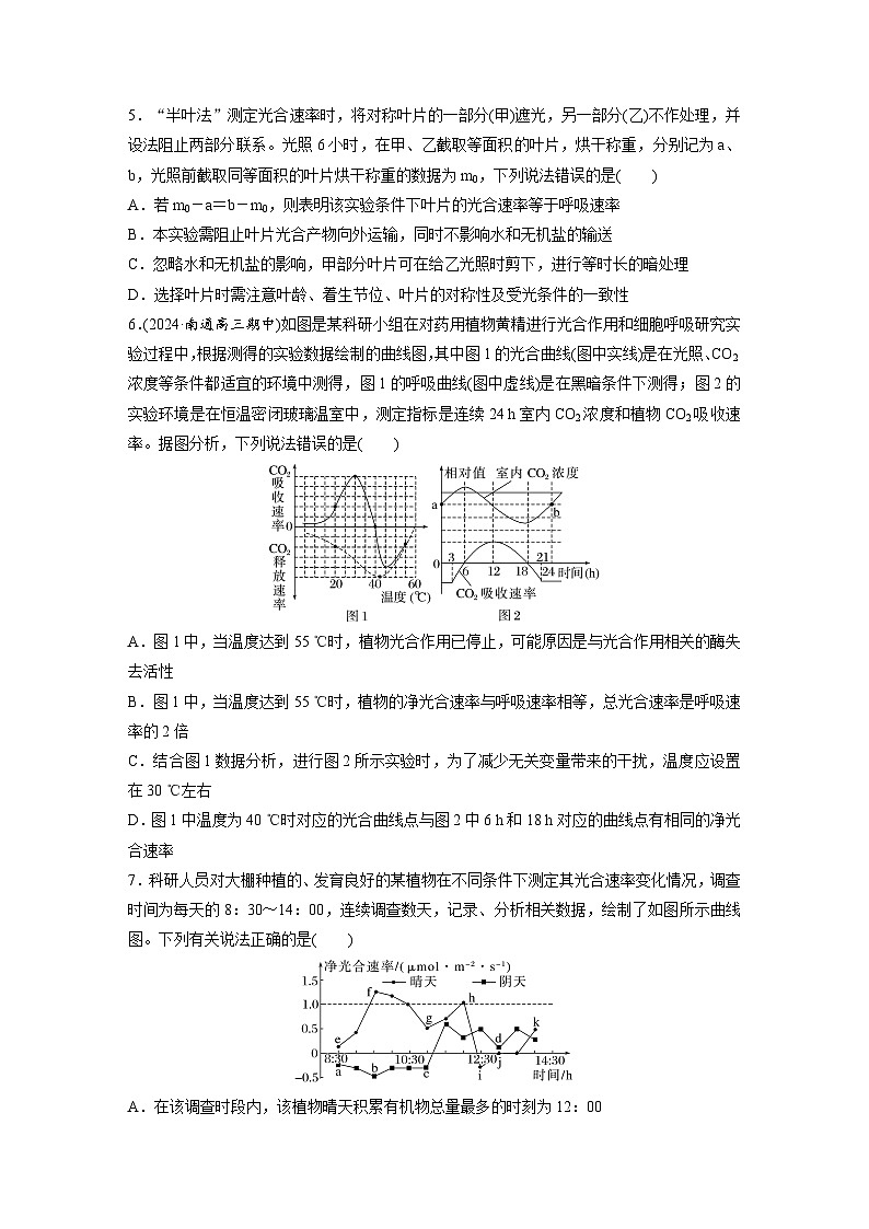 第三单元 课时练18 光合速率和呼吸速率的综合分析-2025年高考生物大一轮复习(课件+讲义+练习)专练第3页