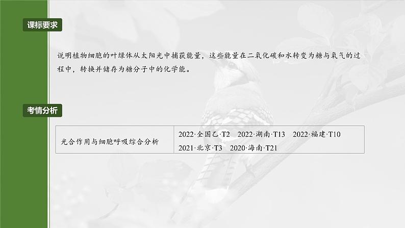 第三单元 第18课时 光合速率和呼吸速率的综合分析第4页