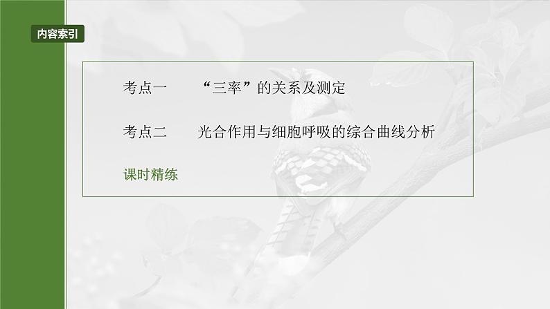 第三单元 第18课时 光合速率和呼吸速率的综合分析第5页