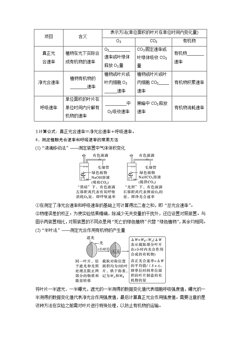 第三单元 第18课时 光合速率和呼吸速率的综合分析-2025年高考生物大一轮复习(课件+讲义+练习)学生版第2页