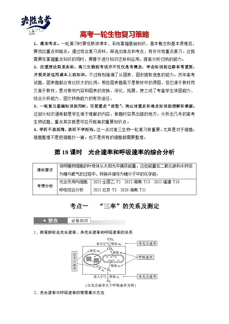 第三单元 第18课时 光合速率和呼吸速率的综合分析-2025年高考生物大一轮复习(课件+讲义+练习)教师版第1页