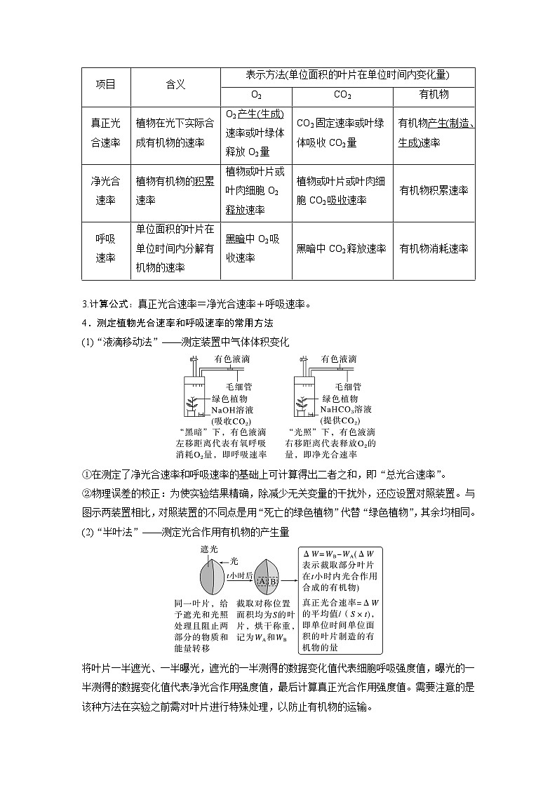 第三单元 第18课时 光合速率和呼吸速率的综合分析-2025年高考生物大一轮复习(课件+讲义+练习)教师版第2页