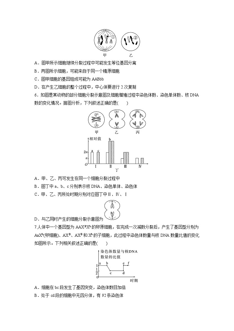 第四单元 专题突破4 减数分裂与可遗传变异的关系-2025年高考生物大一轮复习(课件+讲义+练习)专练第3页