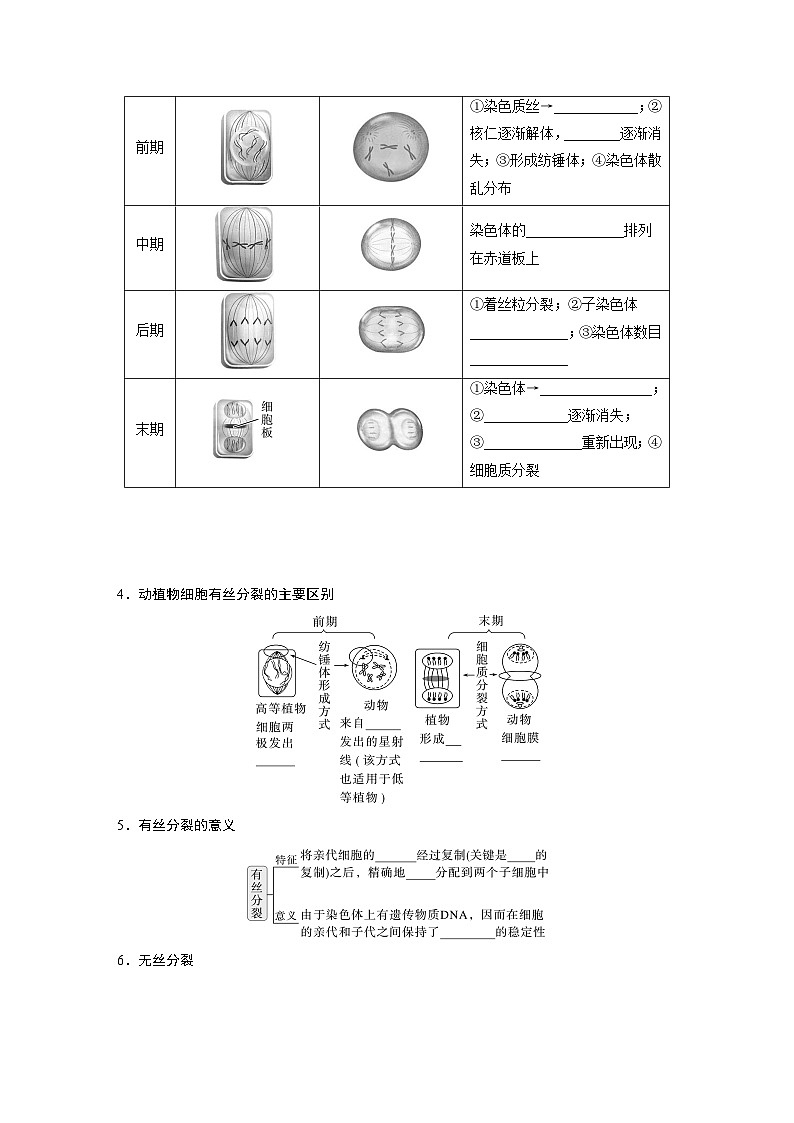 第四单元 第19课时 细胞的增殖-2025年高考生物大一轮复习(课件+讲义+练习)学生版第3页