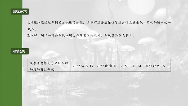 第四单元 第二十课时 有丝分裂过程中相关变化及观察实验-2025年高考生物大一轮复习(课件+讲义+练习)04