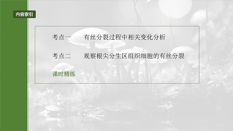 第四单元 第二十课时 有丝分裂过程中相关变化及观察实验-2025年高考生物大一轮复习(课件+讲义+练习)05