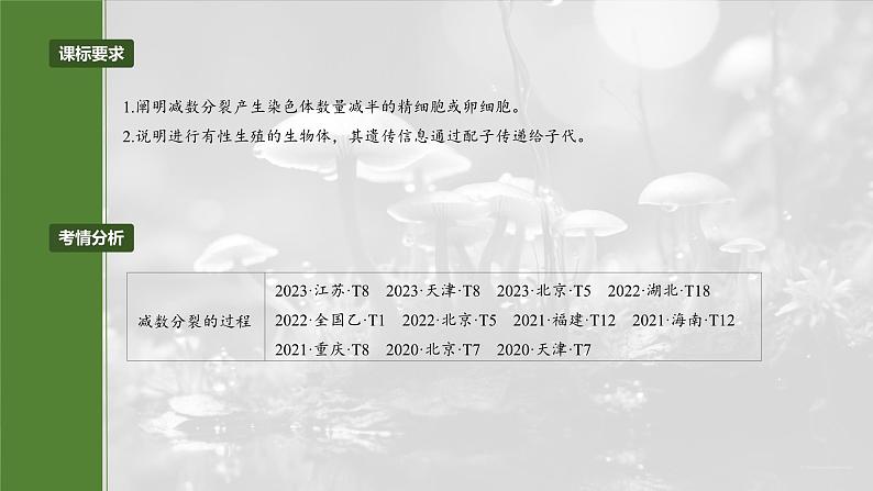 第四单元 第二十一课时 减数分裂和受精作用-2025年高考生物大一轮复习(课件+讲义+练习)04