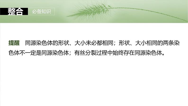 第四单元 第二十一课时 减数分裂和受精作用-2025年高考生物大一轮复习(课件+讲义+练习)08