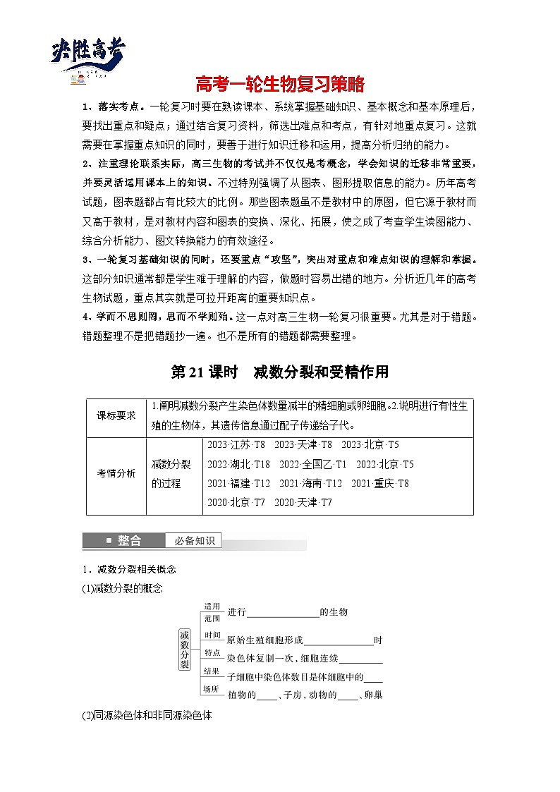 第四单元 第二十一课时 减数分裂和受精作用-2025年高考生物大一轮复习(课件+讲义+练习)01