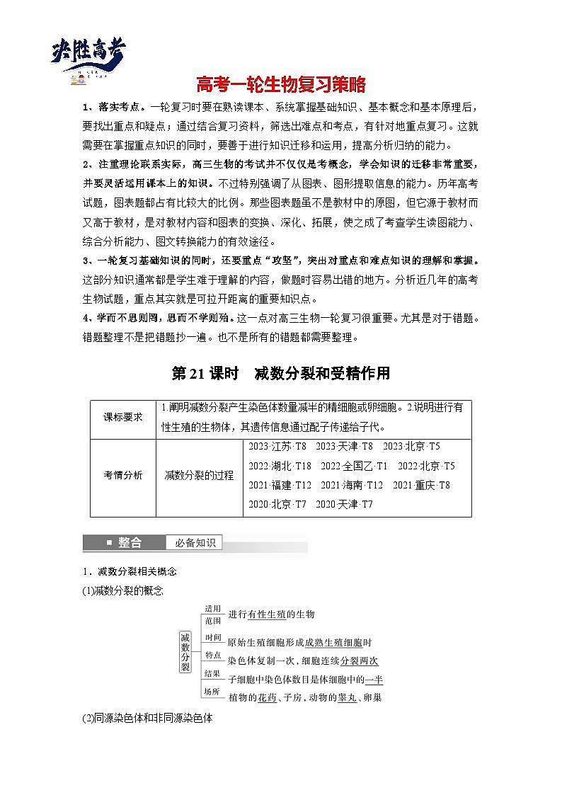 第四单元 第二十一课时 减数分裂和受精作用-2025年高考生物大一轮复习(课件+讲义+练习)01