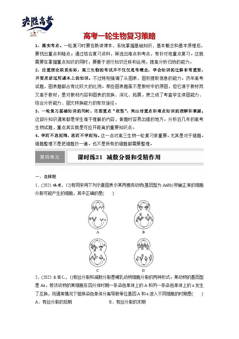 第四单元 第二十一课时 减数分裂和受精作用-2025年高考生物大一轮复习(课件+讲义+练习)01