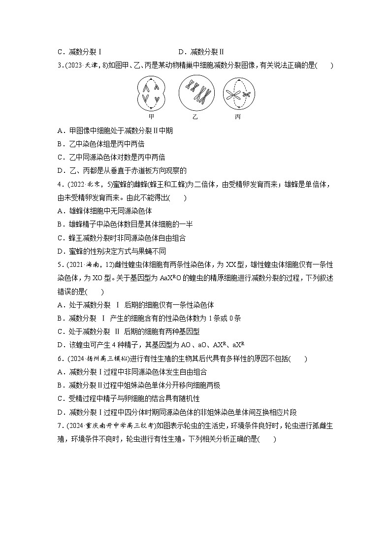 第四单元 第二十一课时 减数分裂和受精作用-2025年高考生物大一轮复习(课件+讲义+练习)02