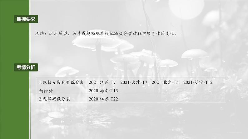 第四单元 第22课时 减数分裂与有丝分裂的比较及观察蝗虫精母细胞减数分裂装片第4页