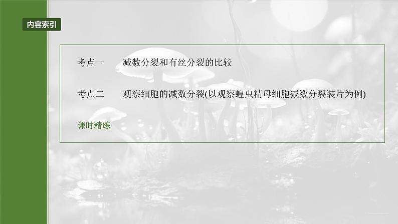 第四单元 第22课时 减数分裂与有丝分裂的比较及观察蝗虫精母细胞减数分裂装片第5页