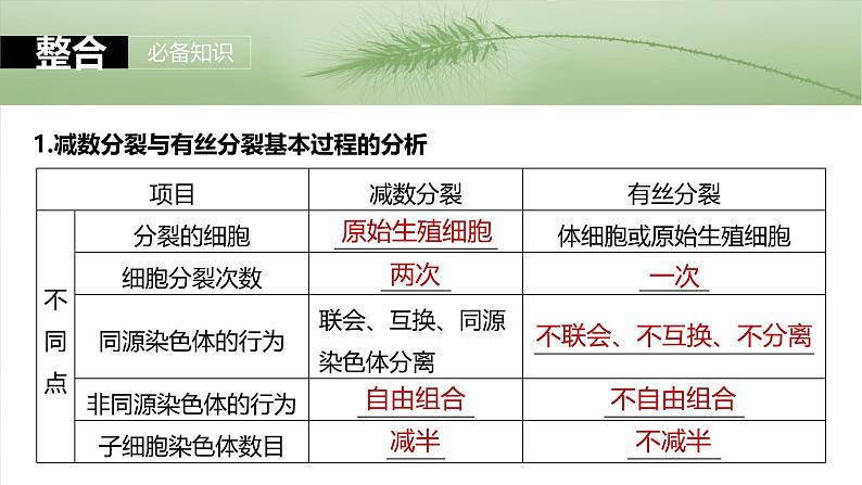第四单元 第22课时 减数分裂与有丝分裂的比较及观察蝗虫精母细胞减数分裂装片第7页